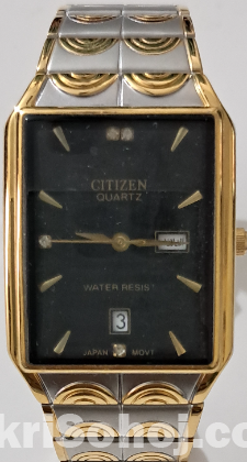 Citizen Watch